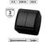 Выключатель 2 клавишный TDM ELECTRIC открытой установки IP44 10А графит "Селигер" SQ1818-0302 2