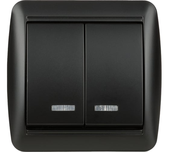 Выключатель 2 клавишный TDM ELECTRIC открытой установки с подсветкой IP44 10А графит "Селигер" SQ1818-0304