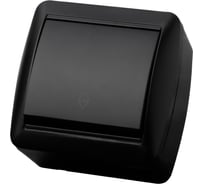 Выключатель на 2 направления TDM ELECTRIC 1-кл. открытой установки IP44 10А графит "Селигер" SQ1818-0311