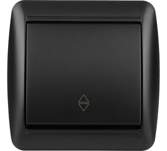 Выключатель на 2 направления TDM ELECTRIC 1-кл. открытой установки IP44 10А графит "Селигер" SQ1818-0311