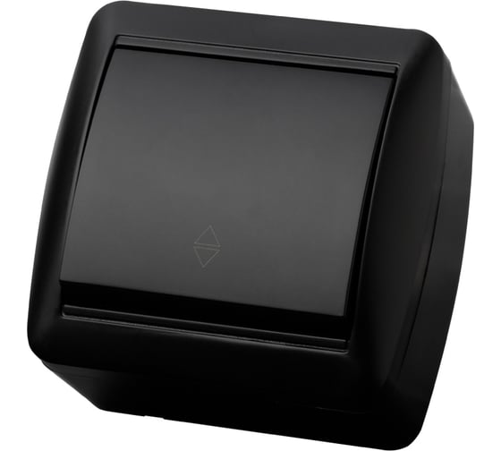 Выключатель на 2 направления TDM ELECTRIC 1-кл. открытой установки IP44 10А графит "Селигер" SQ1818-0311 1