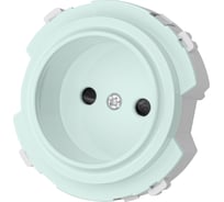 Розетка TDM ELECTRIC 2п 16а 250в с защ. шт. фисташковая, "байкал" SQ1819-0108