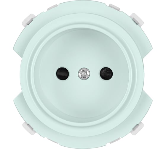 Розетка TDM ELECTRIC 2п 16а 250в с защ. шт. фисташковая, "байкал" SQ1819-0108