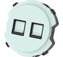 Розетка компьютерная TDM ELECTRIC двойная rj45 фисташковая, "байкал" SQ1819-0116