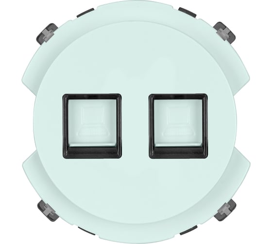 Розетка компьютерная TDM ELECTRIC двойная rj45 фисташковая, "байкал" SQ1819-0116