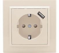1-местная розетка EKF СП с/з Минск 16А бежевая с защитными шторками с USB 1А  SQERR16-028-200-USB