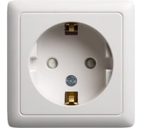 Розетка с заземлением со шторками Systeme Electric Хит открытой установки с изолир. пласт. белый 16а RA16-138I-B