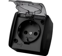 Розетка TDM ELECTRIC 2П+3 открытой установки IP54 16А с прозрачной крышкой графит "Селигер" SQ1818-0307
