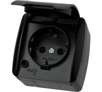 Розетка TDM ELECTRIC 2П+З открытой установки IP54 16А с крышкой графит "Селигер" SQ1818-0313