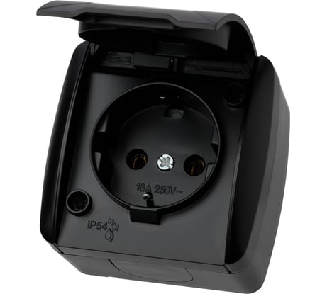 Розетка TDM ELECTRIC 2П+З открытой установки IP54 16А с крышкой графит "Селигер" SQ1818-0313