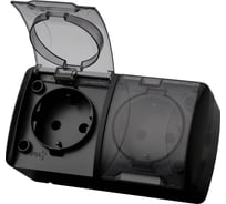 Розетка TDM ELECTRIC двойная 2П+3 открытой установки IP54 16А с прозрачной крышкой графит "Селигер" SQ1818-0309