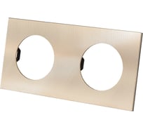 Двойная рамка TDM ELECTRIC шампань, алюминий, текстурированный, "байкал" SQ1819-0556