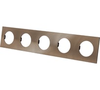 Пятипостовая рамка TDM ELECTRIC бронза, алюминий, текстурированный, "байкал" SQ1819-0459