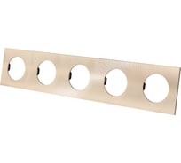 Пятипостовая рамка TDM ELECTRIC шампань, алюминий, текстурированный, "байкал" SQ1819-0559