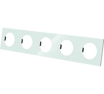 Пятерная рамка TDM ELECTRIC фисташковая, стекло, "байкал" SQ1819-0106