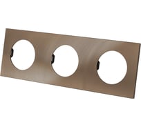 Тройная рамка TDM ELECTRIC бронза, алюминий, текстурированный, "байкал" SQ1819-0457