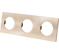 Тройная рамка TDM ELECTRIC шампань, алюминий, текстурированный, "байкал" SQ1819-0557