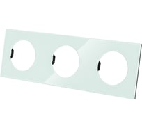 Тройная рамка TDM ELECTRIC фисташковая, стекло, "байкал" SQ1819-0104