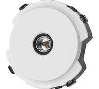 TV розетка TDM ELECTRIC проходная белая, "байкал" SQ1819-0010