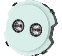 Двойная TV розетка TDM ELECTRIC проходная фисташковая, "байкал" SQ1819-0112