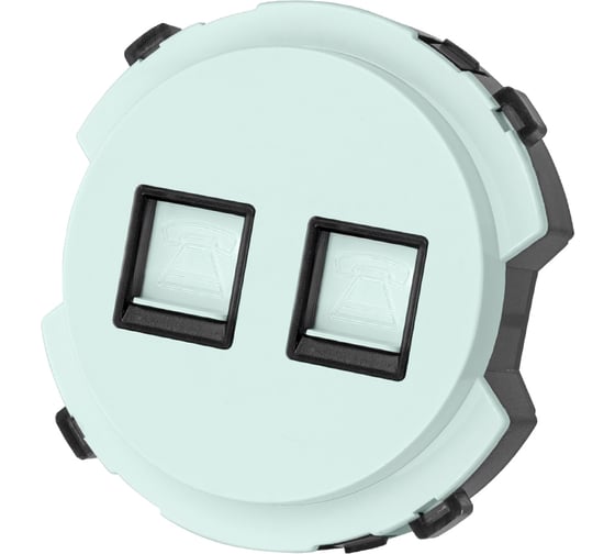 Двойная телефонная розетка TDM ELECTRIC rj11, фисташковая, "байкал" SQ1819-0115 1