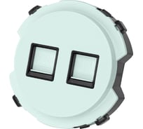 Розетка TDM ELECTRIC телефонная rj11 + компьютерная rj45, фисташковая, "байкал" SQ1819-0117