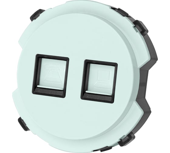 Розетка TDM ELECTRIC телефонная rj11 + компьютерная rj45, фисташковая, "байкал" SQ1819-0117