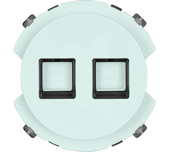 Розетка TDM ELECTRIC телефонная rj11 + компьютерная rj45, фисташковая, "байкал" SQ1819-0117