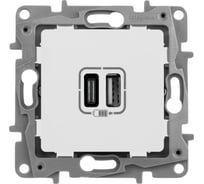 Зарядное устройство Legrand Etika с двумя USB-разъемами тип C-тип C 240 В/5 В 300 м А белое 672235