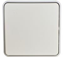 Однополюсный переключатель Legrand на два направления Программа Plexo белый 10 AX 069611