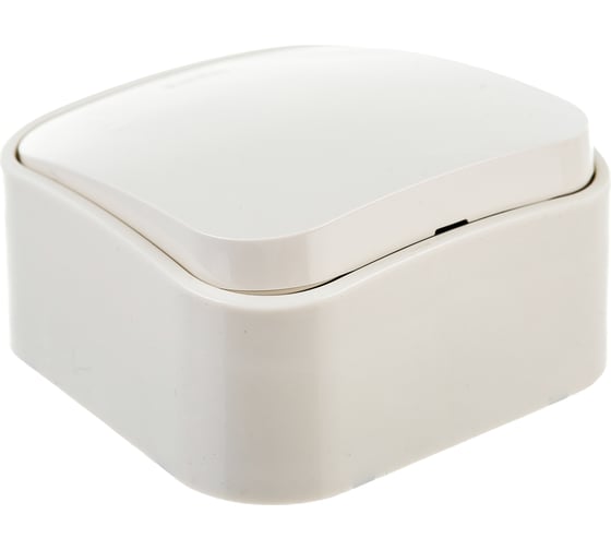 Переключатель Legrand одноклавишный Legrand Quteo IP20 10А 250В винтовые зажимы накладной монтаж слоновая кость 782234