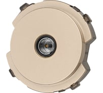 TV розетка оконечная TDM ELECTRIC шампань, "байкал" SQ1819-0511
