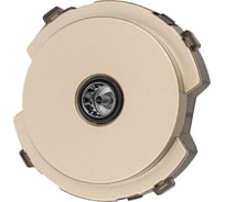 TV розетка проходная TDM ELECTRIC шампань, "байкал" SQ1819-0510