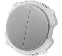 Выключатель 2-клавишный TDM ELECTRIC 16а 250в платина, "байкал" SQ1819-0333