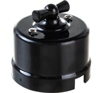 Проходной выключатель Electraline две клавиши 10 А 250 В В1-202-23