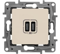Зарядное устройство Legrand Etika с двумя USB-разъемами тип C-тип C 240 В/5 В 3000 мА слоновая кость 672335