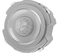 Выключатель с датчиком движения TDM ELECTRIC 16а 250в платина, "байкал" SQ1819-0346