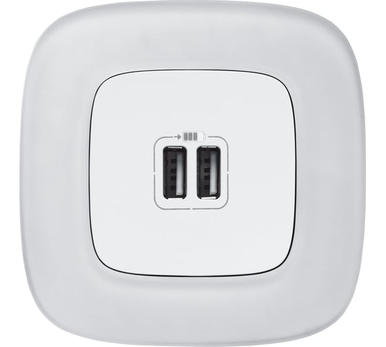Зарядное устройство Legrand Valena Allure с двумя USB-разъемами 240 В/5 В 1500 мА белое 754995