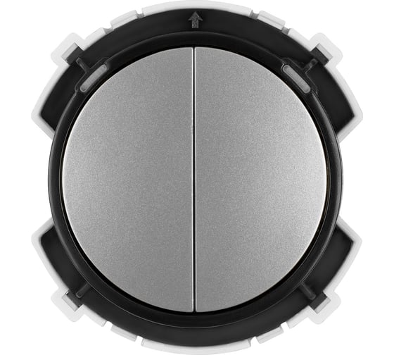 Выключатель 2-клавишный TDM ELECTRIC 16а 250в проходной кнопочный механизм платина, "байкал" SQ1819-0325