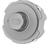 Регулятор громкости TDM ELECTRIC платина, "байкал" SQ1819-0343