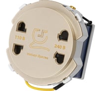 Розетка для бритвы TDM ELECTRIC шампань, "байкал" SQ1819-0549