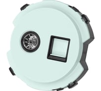 Розетка TDM ELECTRIC телефонная RJ11 + TV розетка оконечная фисташковая, "байкал" SQ1819-0118