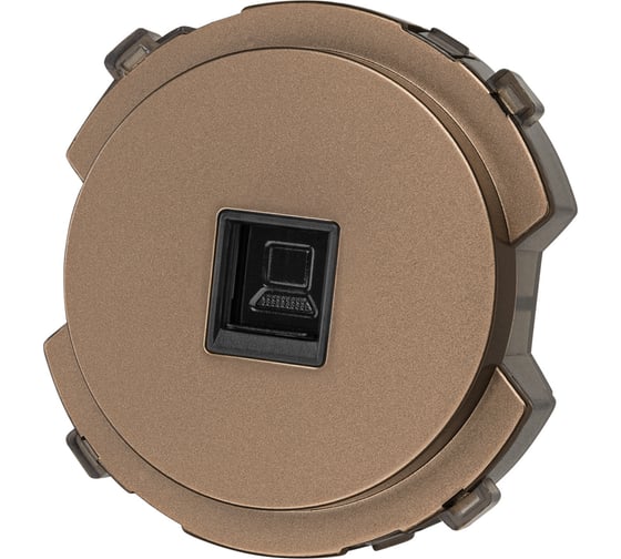 Розетка компьютерная TDM ELECTRIC RJ45 бронза, "байкал" SQ1819-0414