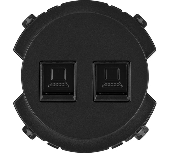 Розетка компьютерная TDM ELECTRIC двойная RJ45 агат, "байкал" SQ1819-0216