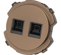 Розетка компьютерная TDM ELECTRIC двойная RJ45 бронза, "байкал" SQ1819-0416