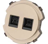 Розетка TDM ELECTRIC телефонная RJ11 + компьютерная RJ45 шампань, "байкал" SQ1819-0517