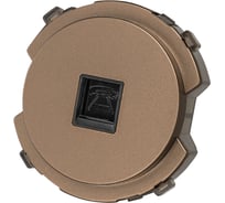 Розетка TDM ELECTRIC телефонная RJ11 бронза, "байкал" SQ1819-0413