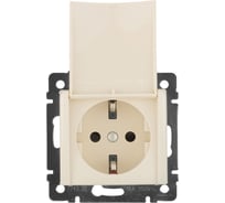 Розетка Legrand с заземлением Legrand Valena со шторками с защитной крышкой 16А 250В винтовые зажимы слоновая кость 774322