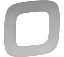 Универсальная рамка Legrand Valena Allure 1 пост алюминий Leg 754391