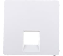 Лицевая панель Legrand Valena Life для одиночных телефонных/информационных розеток белый Leg 755410